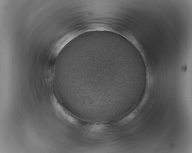 X0000112521385200908241434