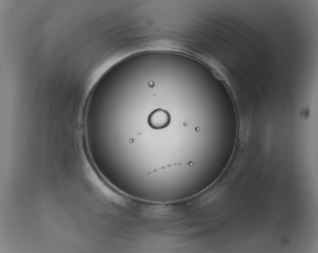 X0000112521387200908241434
