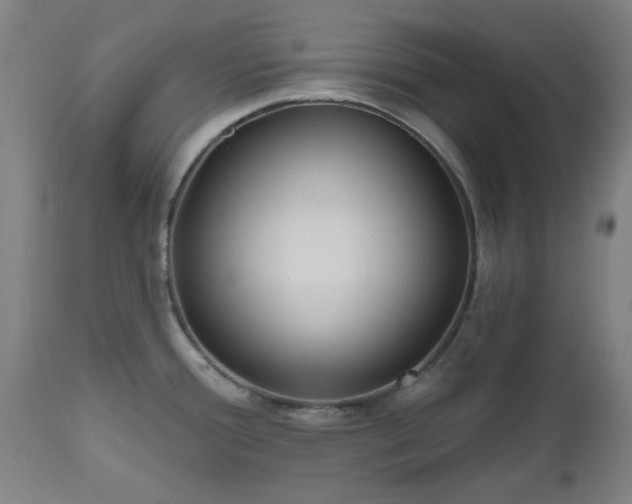 X0000112521388200908241434