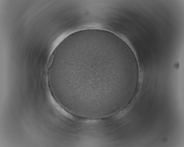 X0000112521389200908241434