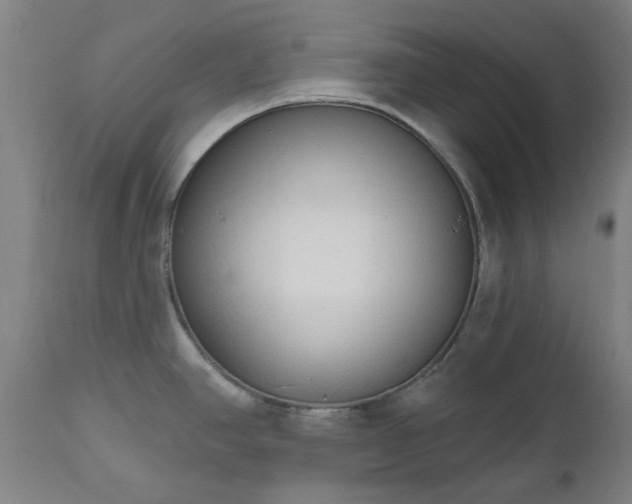 X0000112521390200908241434