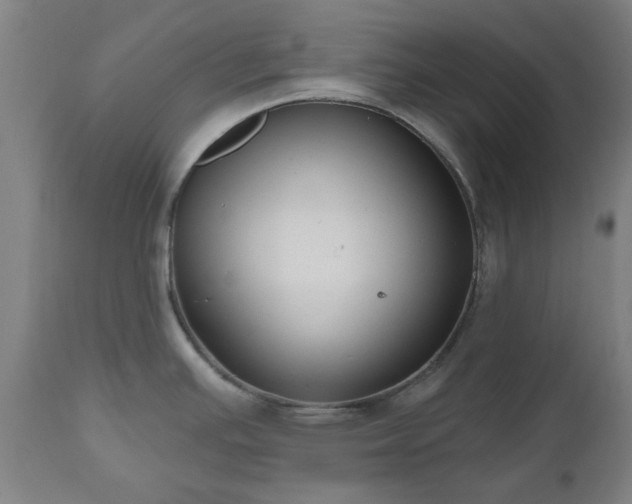 X0000112521391200908241434