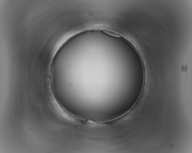 X0000112521392200908241434