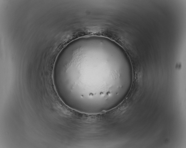 X0000112521393200908241433