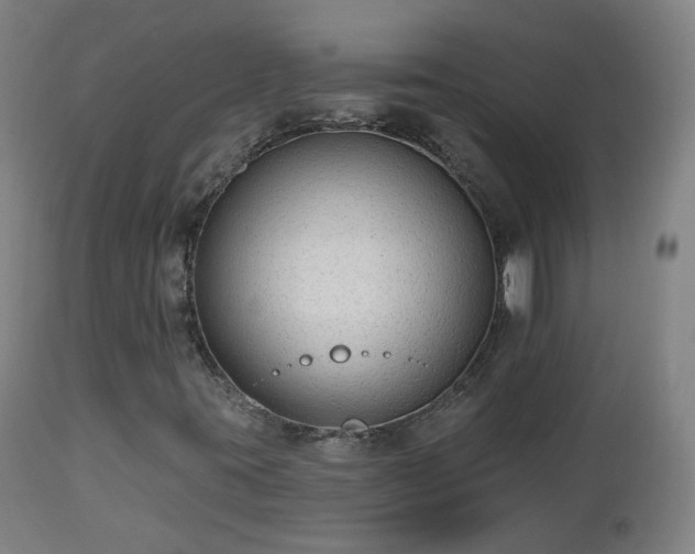 X0000112521395200908241433