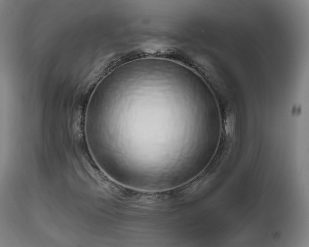 X0000112521396200908241433