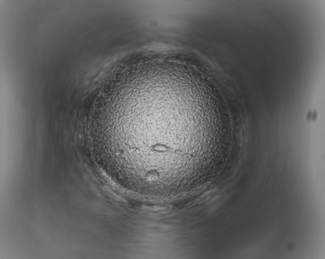 X0000112521397200908241433