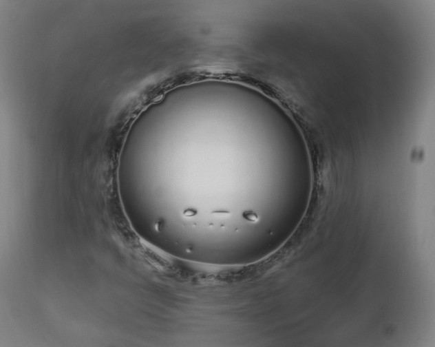 X0000112521398200908241433