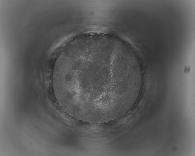 X0000112521399200908241433
