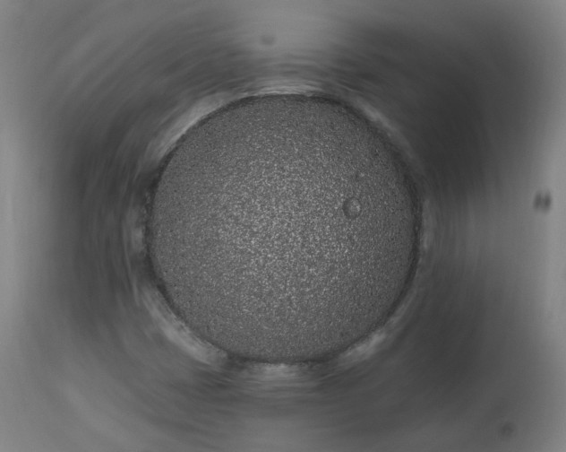 X0000112521401200908241433