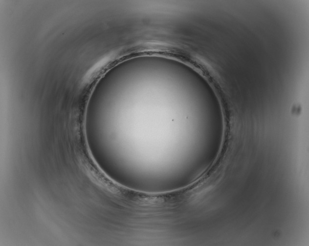 X0000112521403200908241433