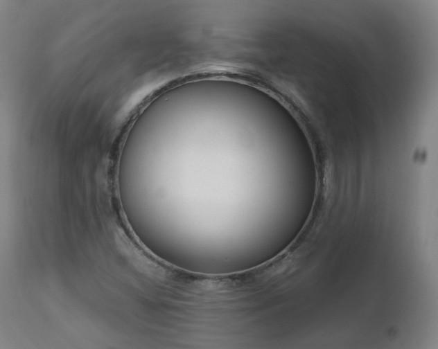 X0000112521404200908241433
