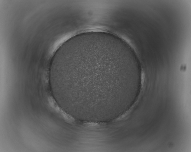 X0000112521405200908241433