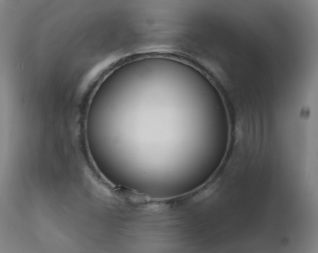 X0000112521406200908241433