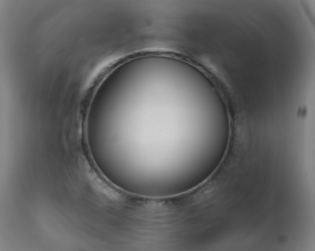 X0000112521408200908241433