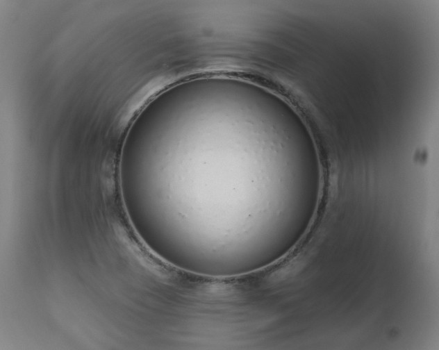 X0000112521409200908241433
