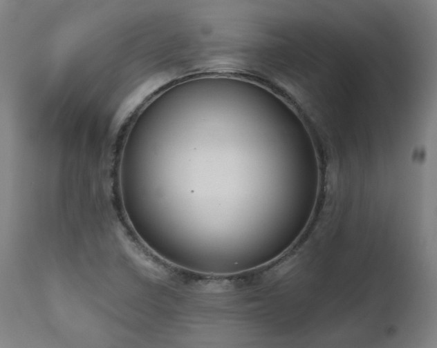 X0000112521410200908241433