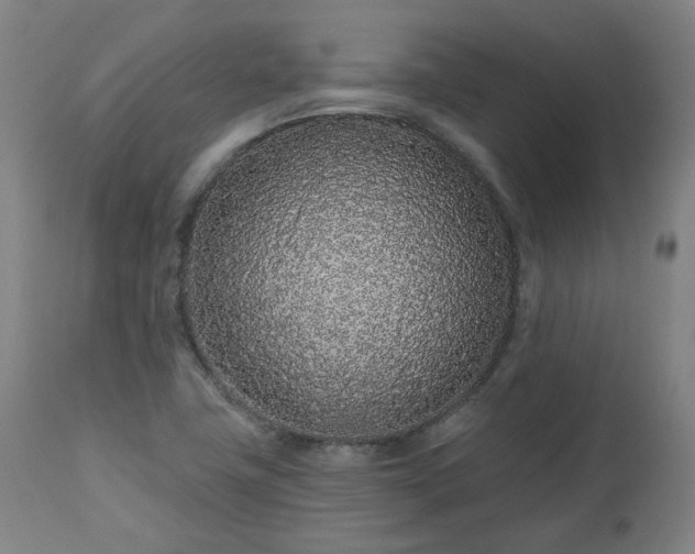 X0000112521411200908241433