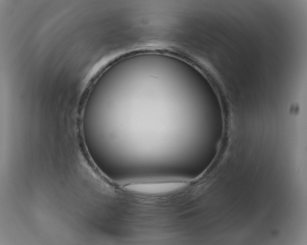 X0000112521412200908241433