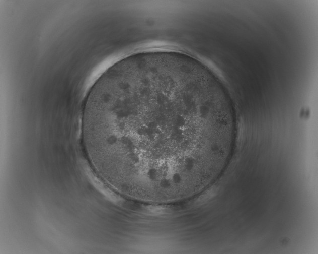 X0000112521413200908241433