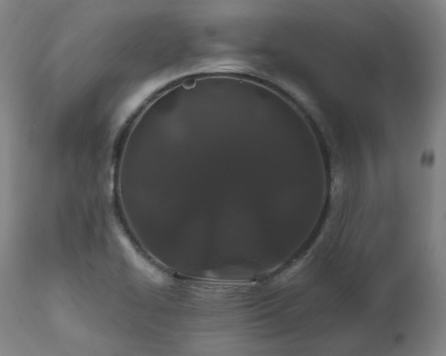 X0000112521414200908241433