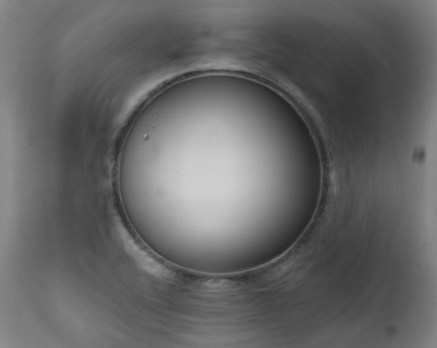 X0000112521416200908241433