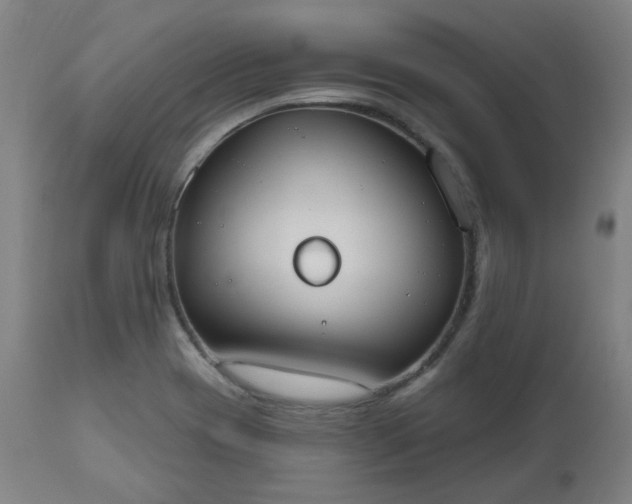 X0000112521417200908241433