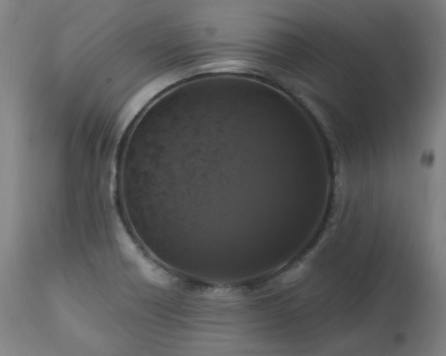 X0000112521418200908241433