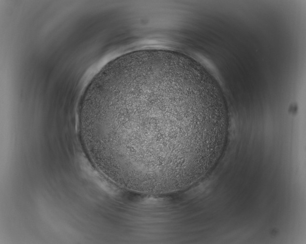 X0000112521419200908241433