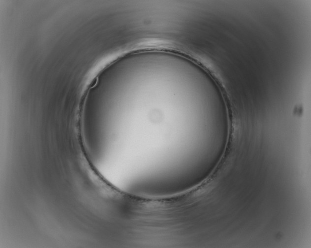 X0000112521421200908241433