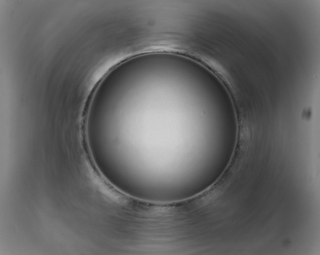 X0000112521423200908241433