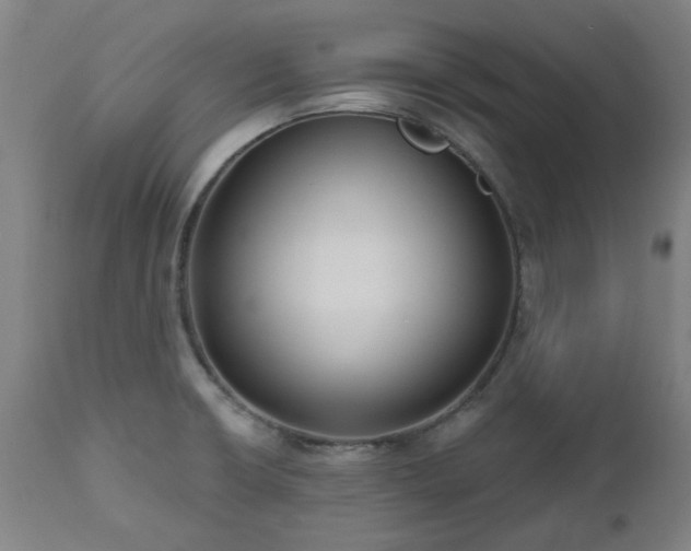 X0000112521426200908241433