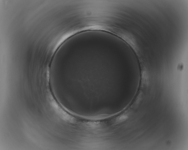 X0000112521428200908241433