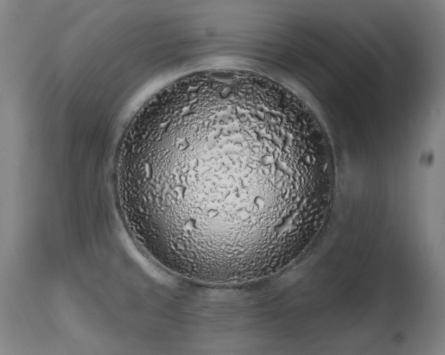 X0000112521429200908241434