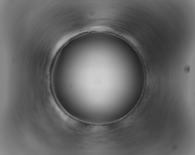 X0000112521430200908241434
