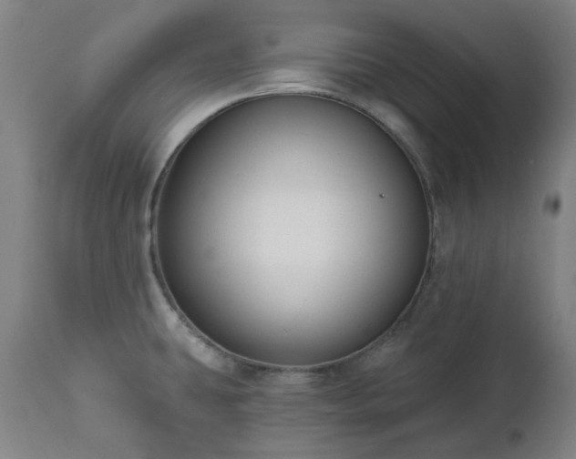 X0000112521431200908241434