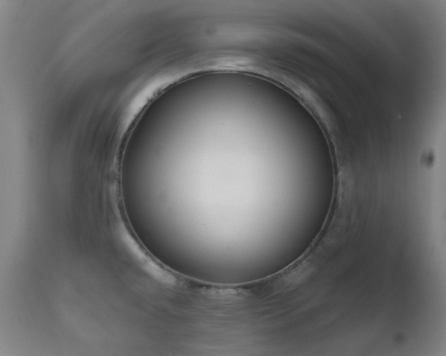 X0000112521432200908241434