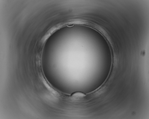 X0000112521433200908241434