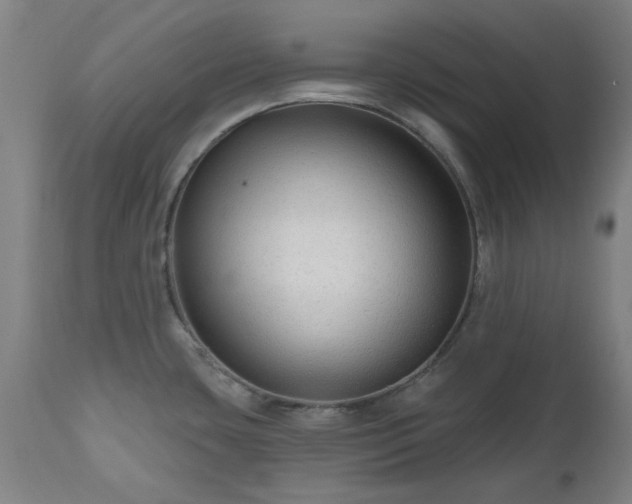 X0000112521435200908241434