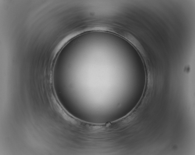 X0000112521436200908241434