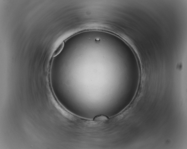 X0000112521437200908241434