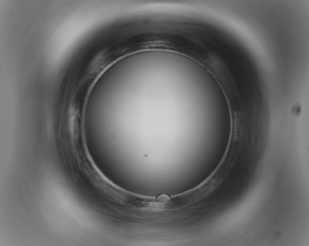 X0000112521438200908241434
