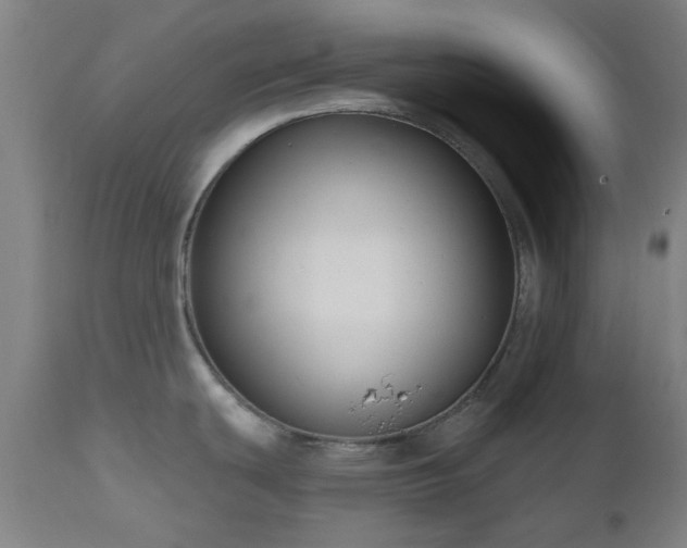 X0000112521439200908241434
