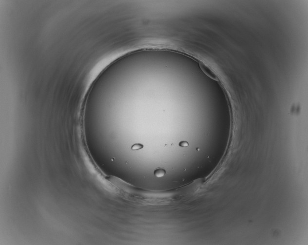 X0000112521440200908241434