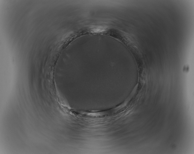 X0000112521441200908241433