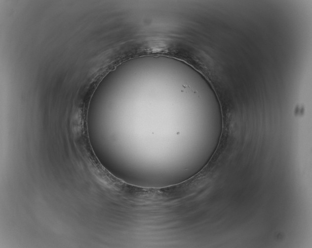 X0000112521442200908241433