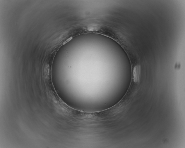 X0000112521443200908241433