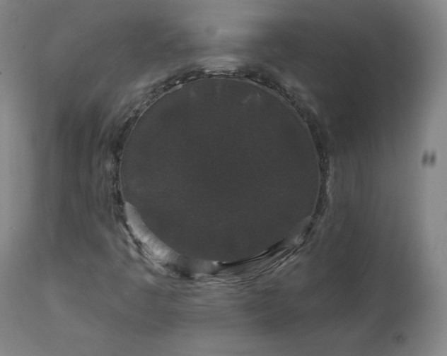 X0000112521445200908241433