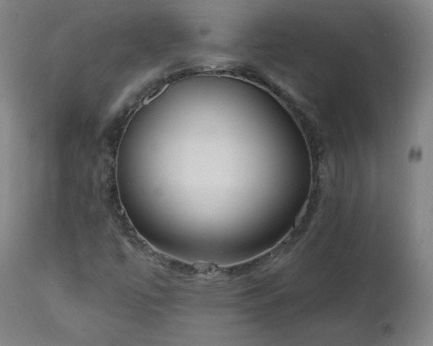 X0000112521447200908241433