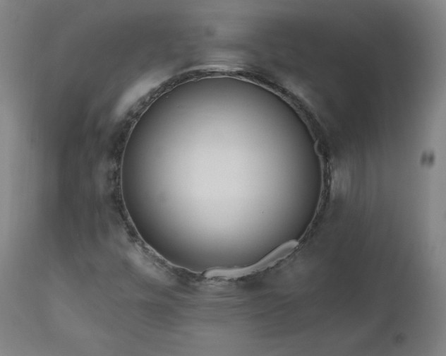 X0000112521448200908241433